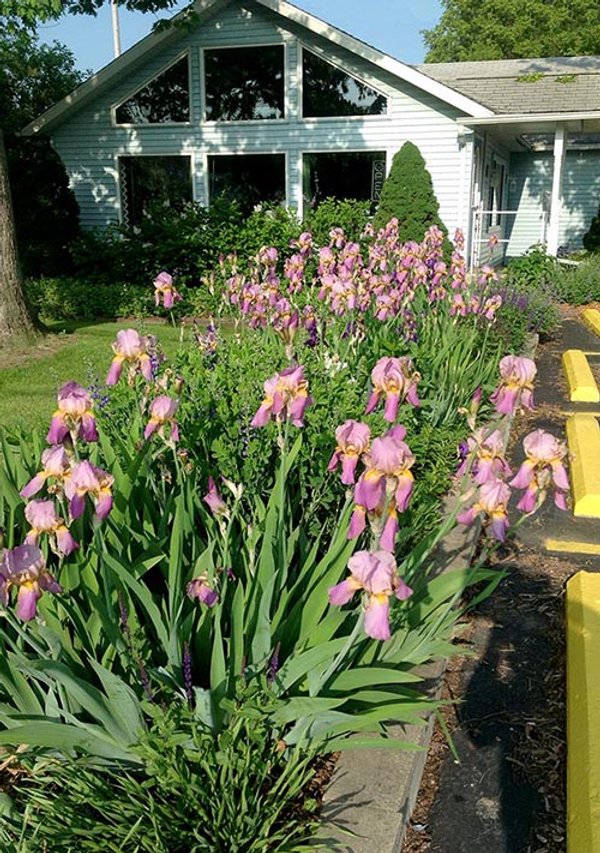 REAL ESTATE AUCTION, Crossroads Flowers